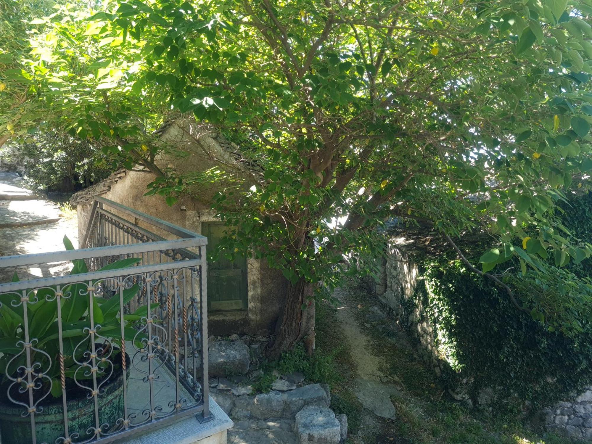 Sea View Stone House Donkey Villa